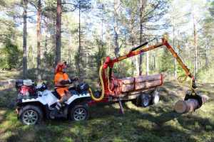 trailer-mounted forestry crane