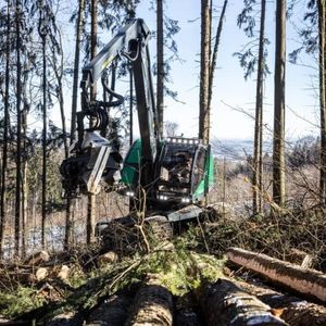 tracked forestry harvester
