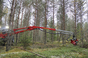 knuckle boom forestry crane