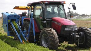 carrot harvester machine