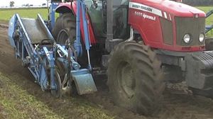 carrot harvester