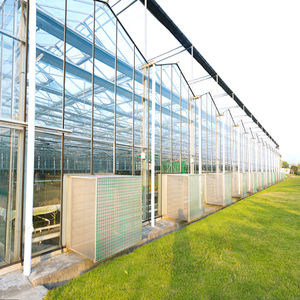 venlo greenhouse