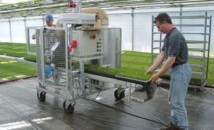 nursery plants pruning machine / on casters / horizontal / with vacuum