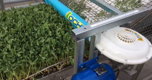 vegetable harvester