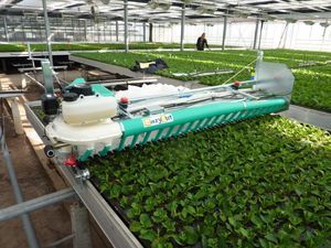 plant tray trimming machine 1
