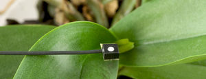 PAR sensor