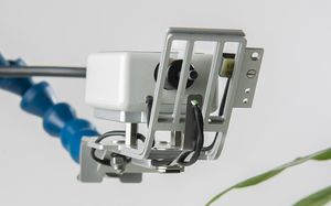 chlorophyll fluorometer