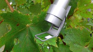chlorophyll fluorometer