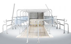 cow milking parlour