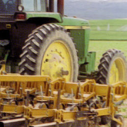 mounted row crop cultivator