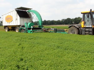 mint harvester machine