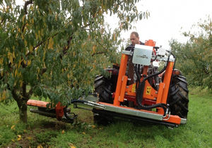 mounted reach mower