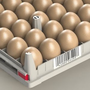 transport egg tray