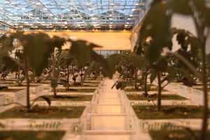 horticulture lighting system
