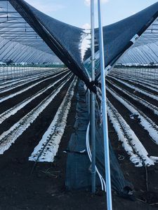 shade netting