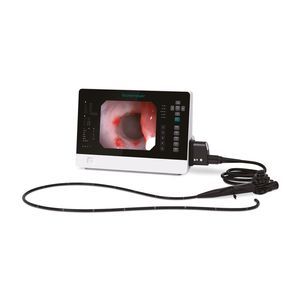 flexible veterinary endoscope