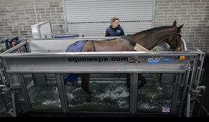 underwater equine treadmill