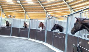 equestrian stable