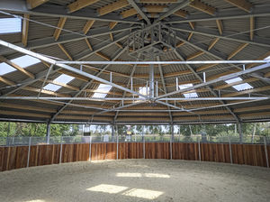 indoor horse walker