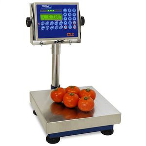 digital scale