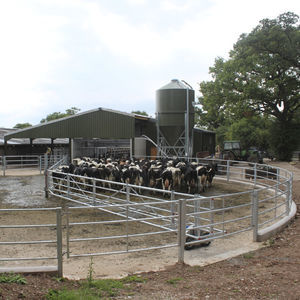 cow mover