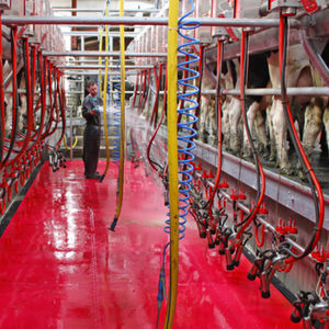 milking parlour washing system