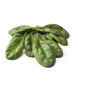 hybrid spinach seeds