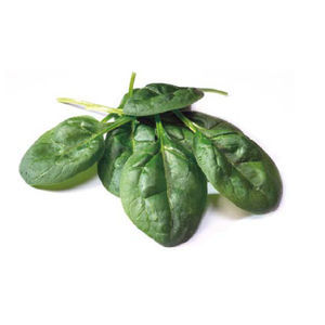 hybrid spinach seeds