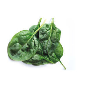 hybrid spinach seeds