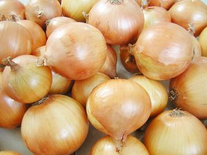 Hybrid onion seed - Hi Keeper - thompson-morgan - yellow