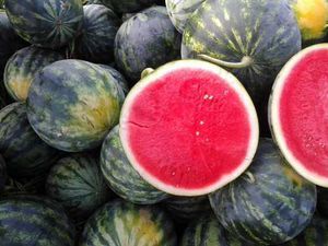 hybrid watermelon seeds
