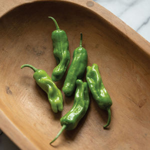 bacterial spot resistant pepper seeds