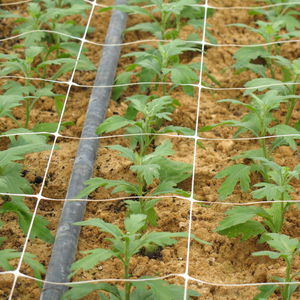 plant support net / polypropylene