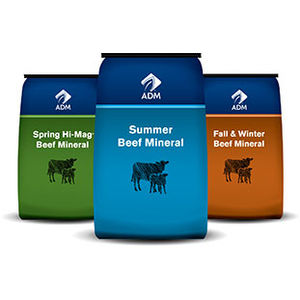 animal feed supplement