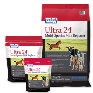 calf milk replacer