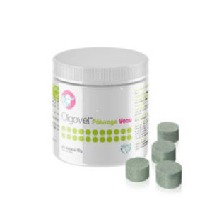 nutrition bolus