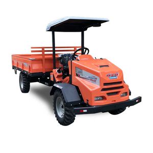 1-person utility vehicle 1