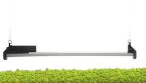 greenhouse lighting