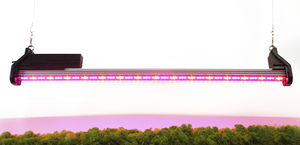 greenhouse lighting