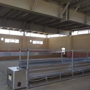 belt automatic feeding system