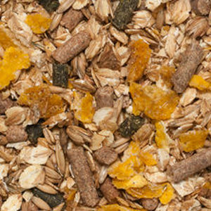 animal feed supplement