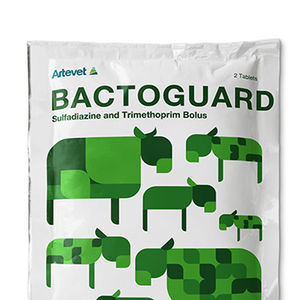 antibacterial feed additive