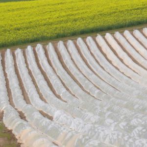 soil cover film