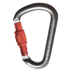 locking carabiner