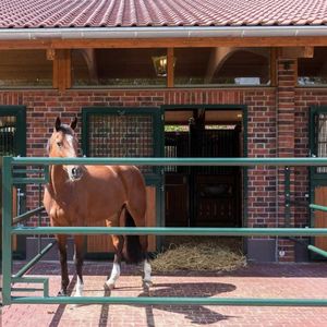livestock gate