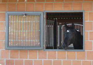 window for livestock buildings