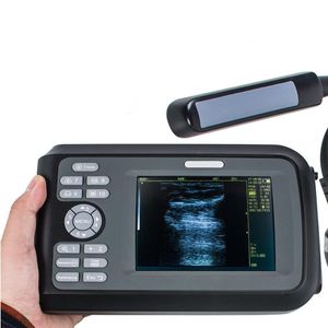 portable veterinary ultrasound system 1