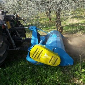 Mounted Mulcher Te Sr Series Omatech Offset Flail For Orchards