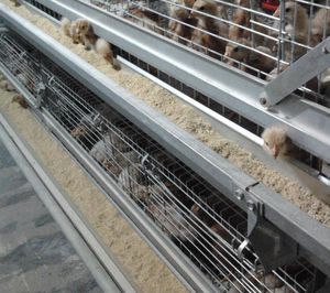 chicks rearing cage / aluminum frame / galvanized