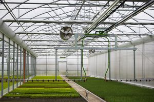 greenhouse irrigation booms